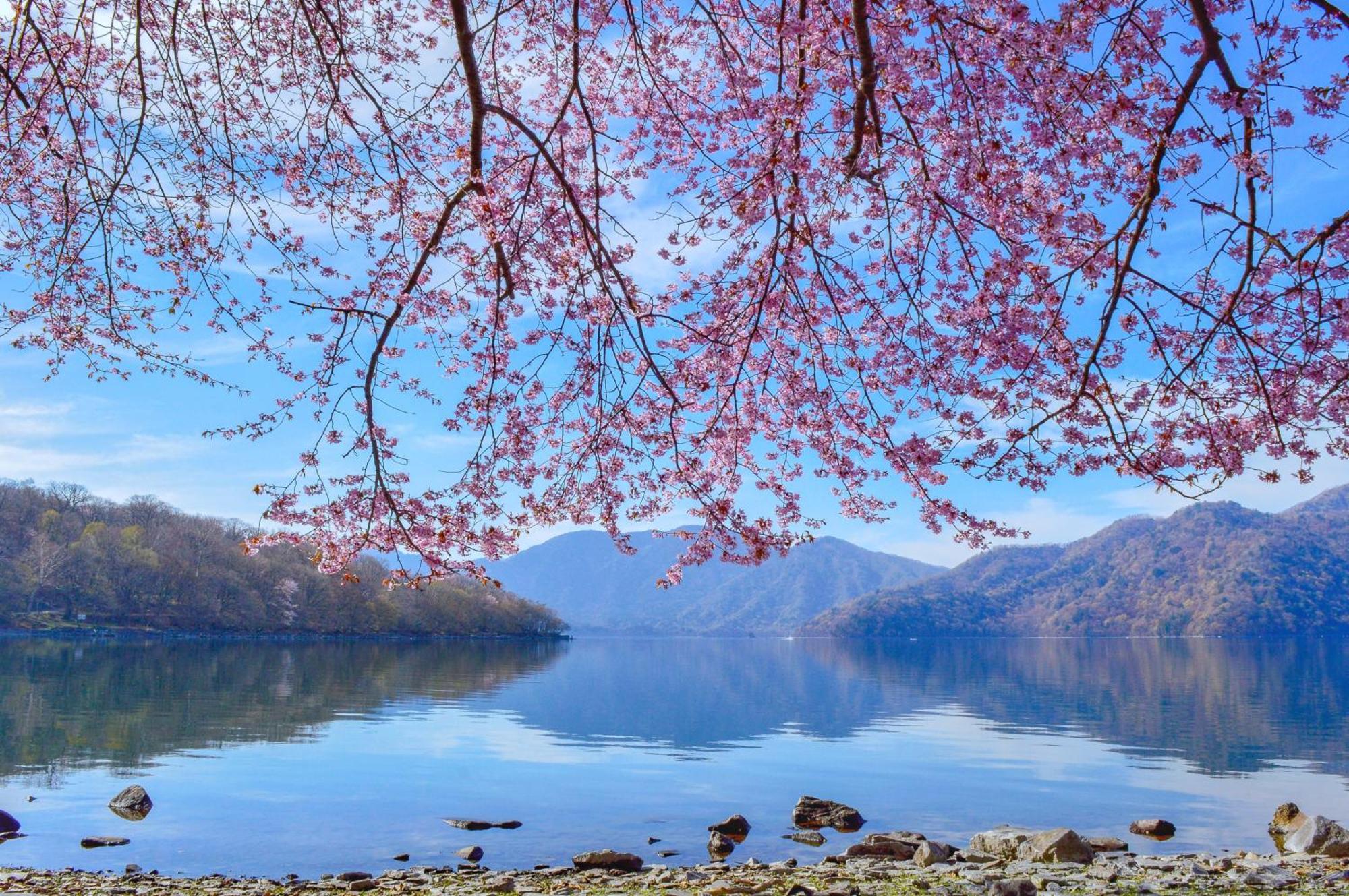 传统日式旅馆 Kamenoi Okunikko