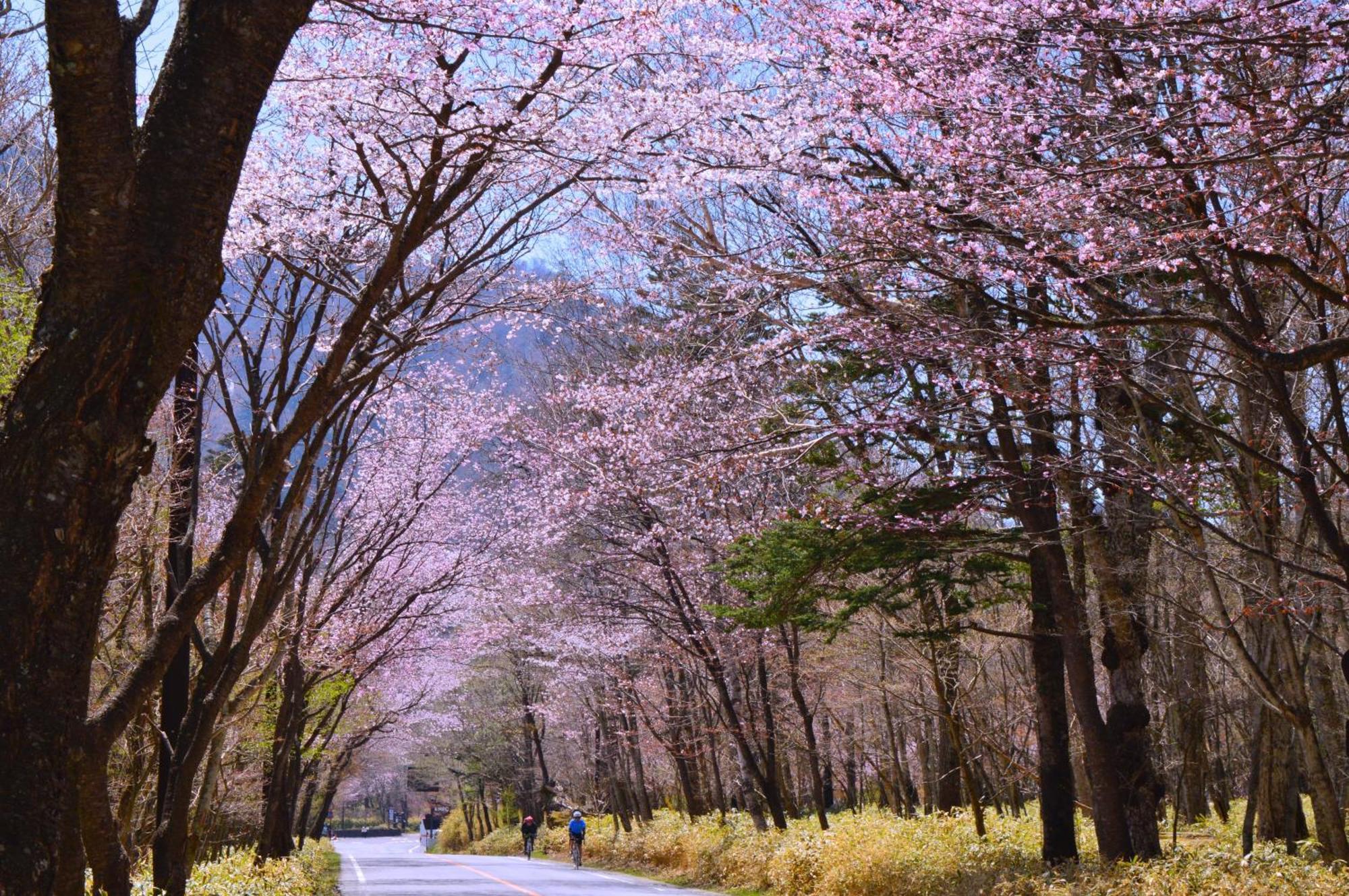 传统日式旅馆 Kamenoi Okunikko 日光
