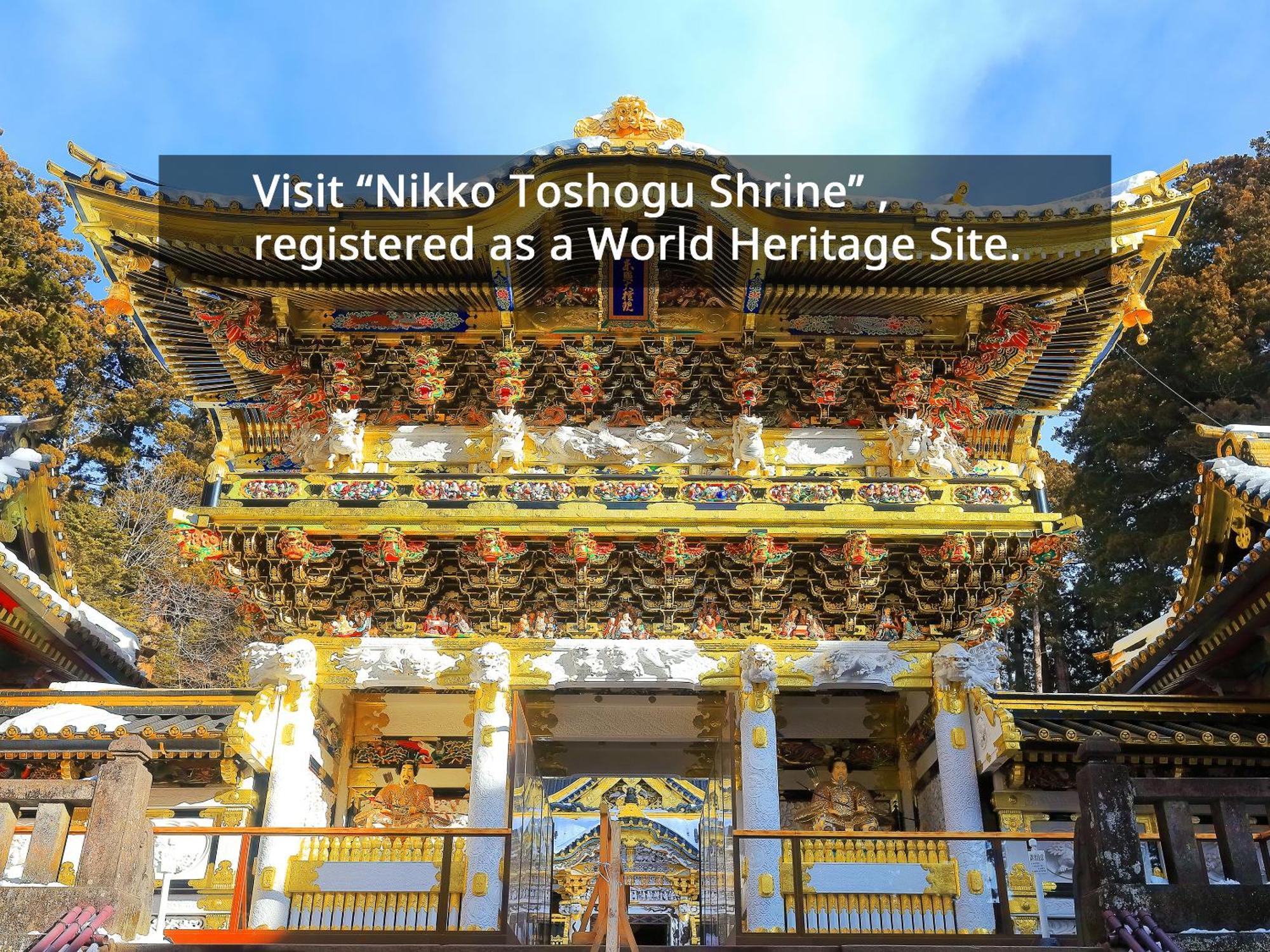 Kamenoi Okunikko 传统日式旅馆 4*